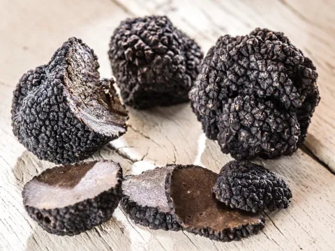 Truffe noire lyophilisée TUBER MELANOSPORUM