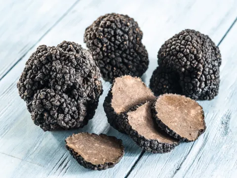 Truffe d'été séchée