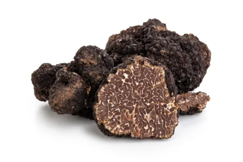 Truffe d'Automne (Tuber Uncinatum)