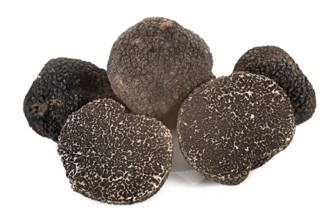 Truffe Noire ou Perigord (Tuber Melanosporum)