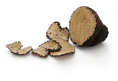 Truffe d'été (Tuber Aestivum)