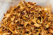 Girolles séchées
