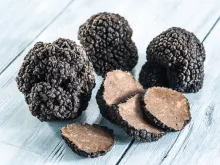 Truffe d'été séchée