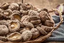 Shiitake séchée laminé