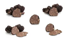 Truffe d'Automne (Tuber Uncinatum)