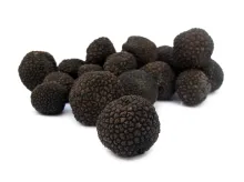 Truffe Noire ou Perigord (Tuber Melanosporum)
