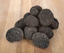 Truffe Noire ou Perigord (Tuber Melanosporum)