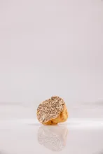 Truffe Bianchetto(Tuber Borchii Vitt)