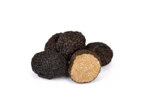 Truffe d'été (Tuber Aestivum)