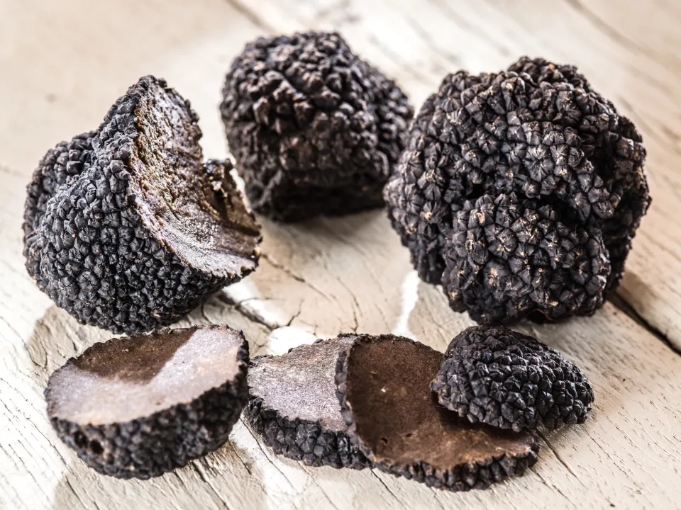 Truffe noire lyophilisée TUBER MELANOSPORUM