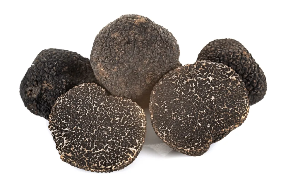 Truffe Noire ou Perigord (Tuber Melanosporum)